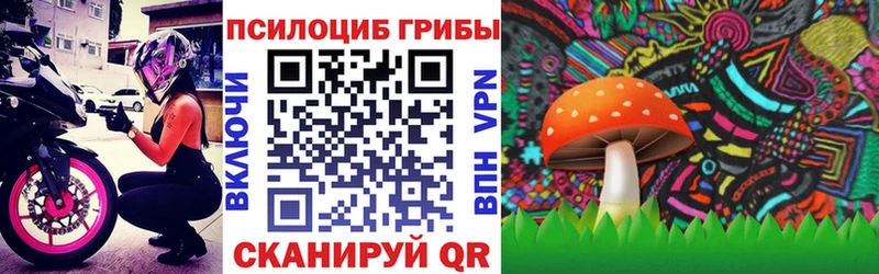 Галлюциногенные грибы GOLDEN TEACHER  где продают   Карачаевск 