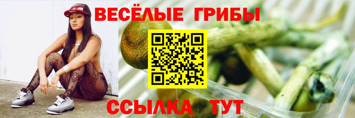 Псилоцибиновые грибы Psilocybine cubensis  Вход с VPN  Псилоцибиновые грибы мухоморы  Карачаевск 